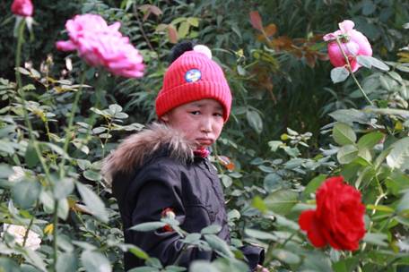 《人鱼天使》鱼鳞女孩“小何”破茧成蝶，重见新皮肤！